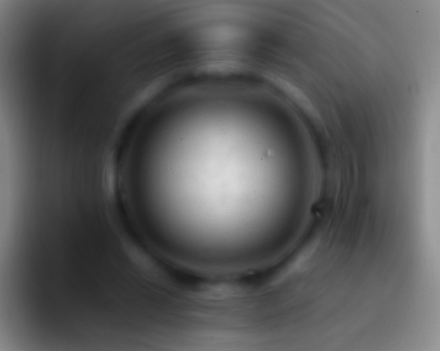 X0000092310446200709211252