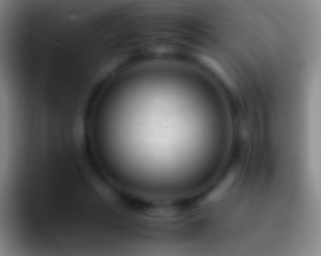 X0000092310447200709211252