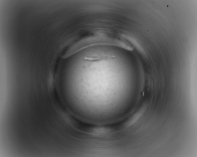 X0000092310453200709211252