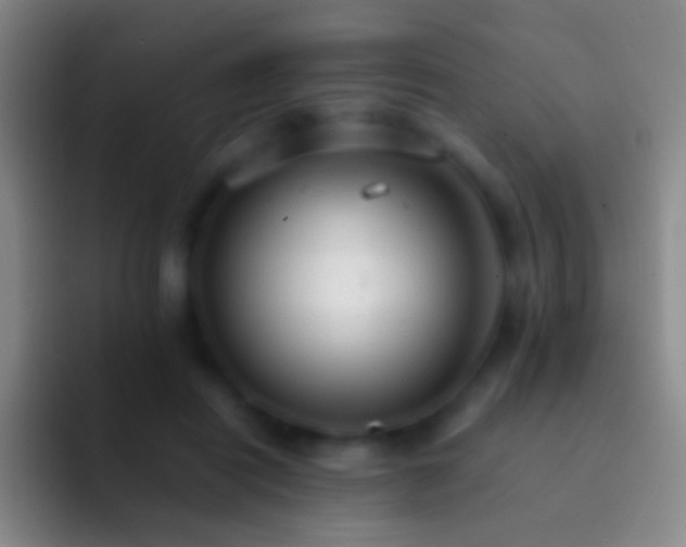 X0000092310454200709211252