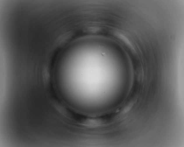 X0000092310455200709211252