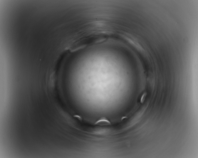 X0000092310458200709211252