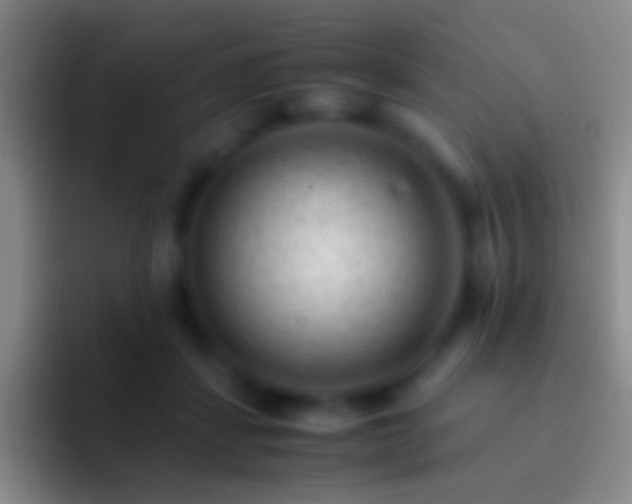 X0000092310459200709211252