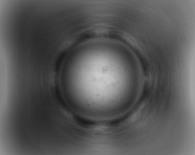 X0000092310462200709211252