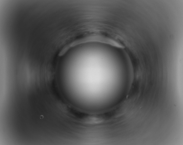 X0000092310464200709211252