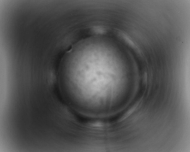 X0000092310467200709211252