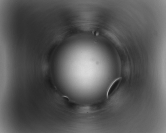 X0000092310473200709211252