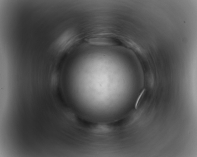 X0000092310475200709211252