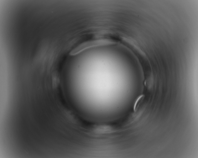X0000092310476200709211252