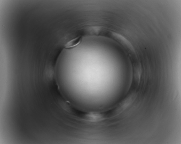 X0000092310477200709211252