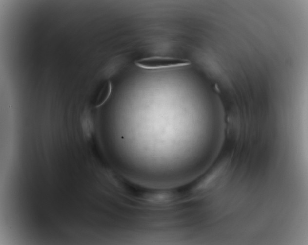 X0000092310479200709211252