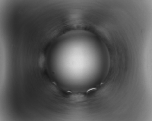 X0000092310480200709211252