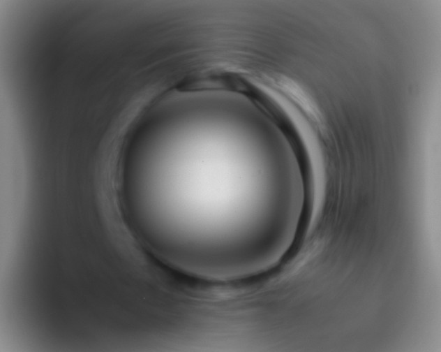 X0000092310481200709211252