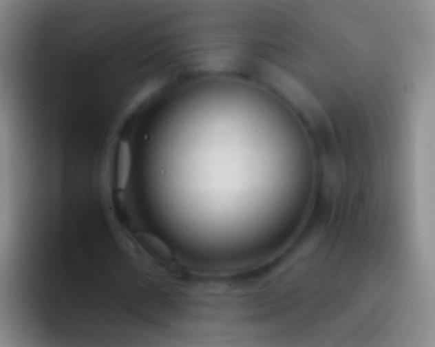 X0000092310482200709211252