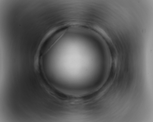 X0000092310484200709211252