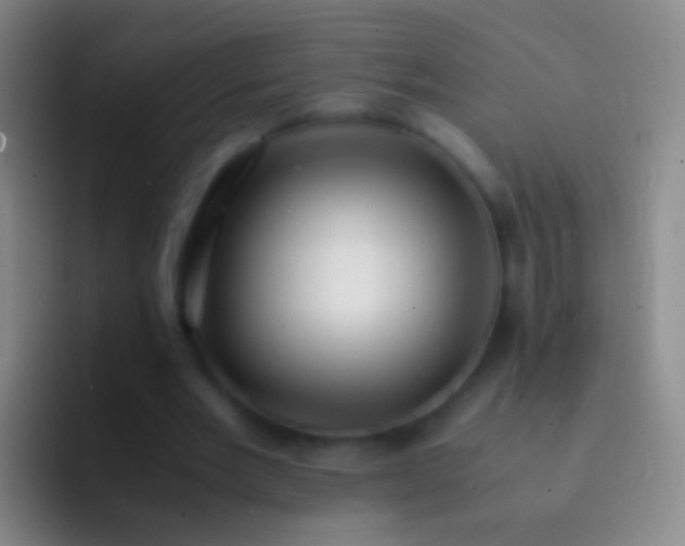 X0000092310485200709211252