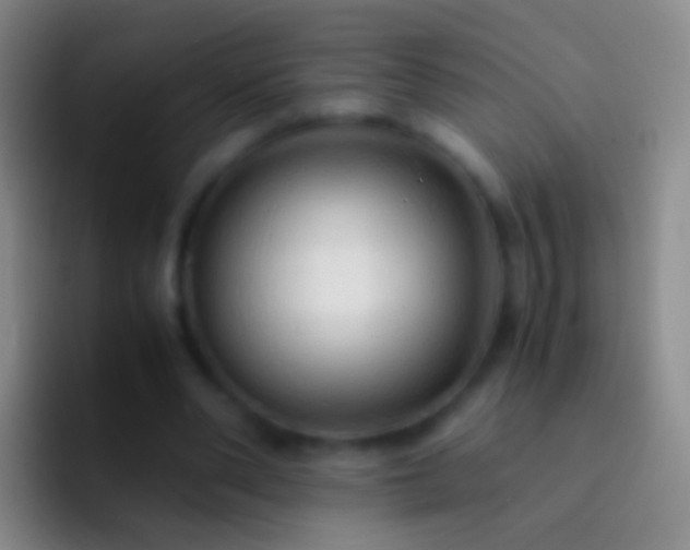 X0000092310486200709211252
