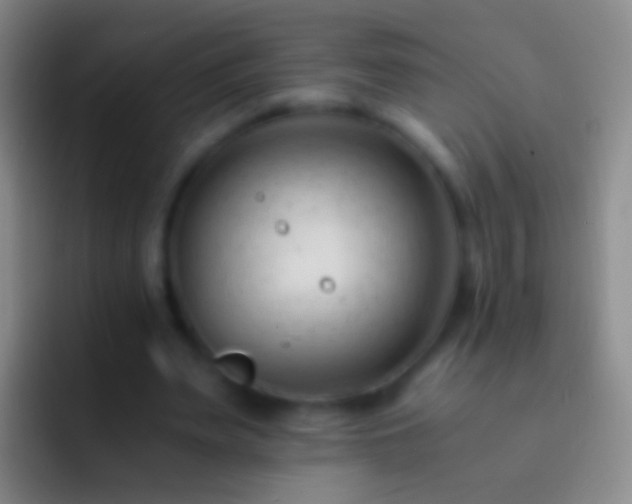 X0000092310487200709211252