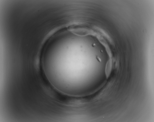 X0000092310488200709211252
