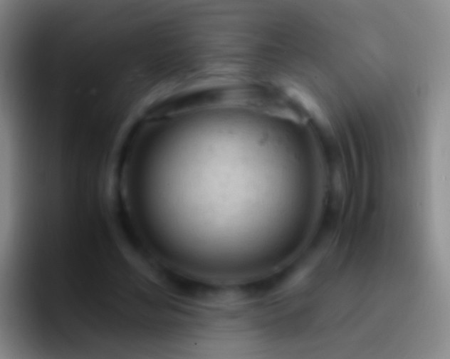 X0000092310492200709211252