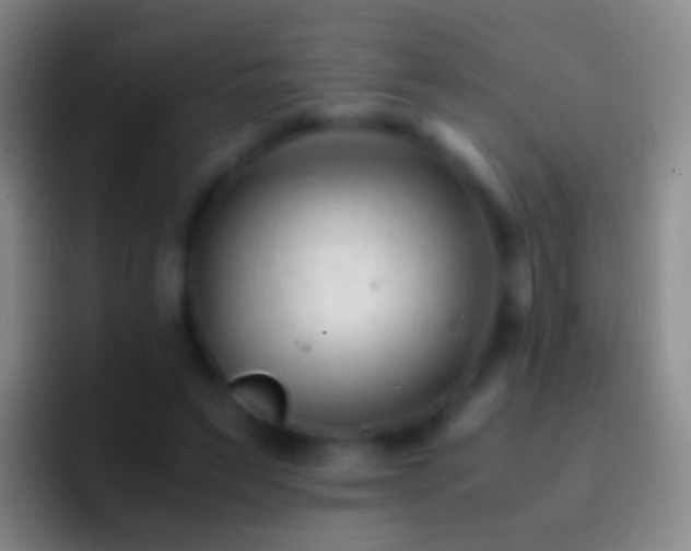 X0000092310495200709211252