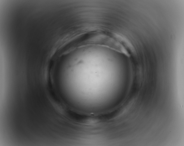 X0000092310496200709211252