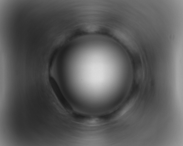 X0000092310497200709211252