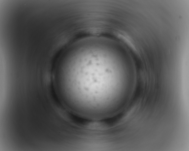 X0000092310499200709211252