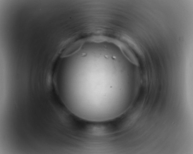 X0000092310500200709211252