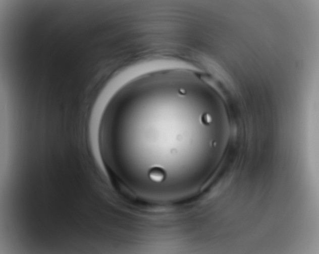 X0000092310501200709211252