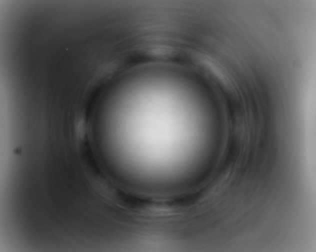 X0000092310502200709211252