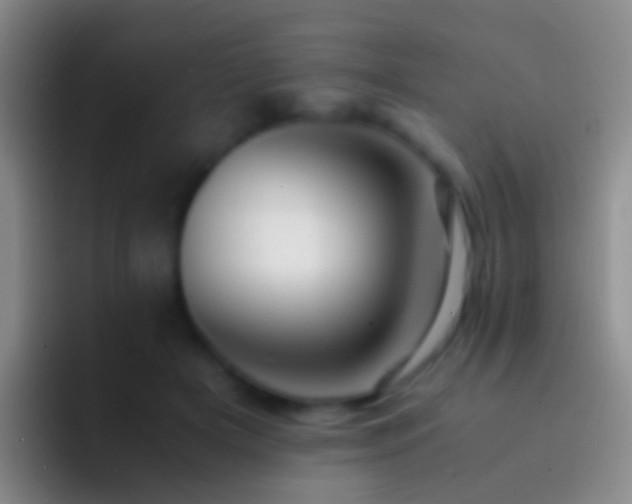 X0000092310505200709211252