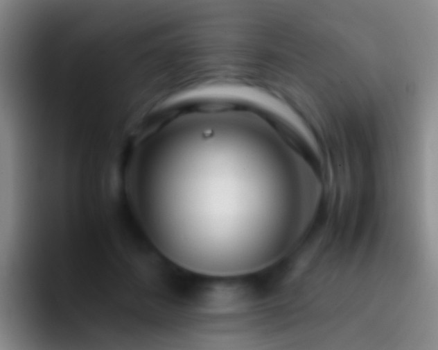 X0000092310508200709211251