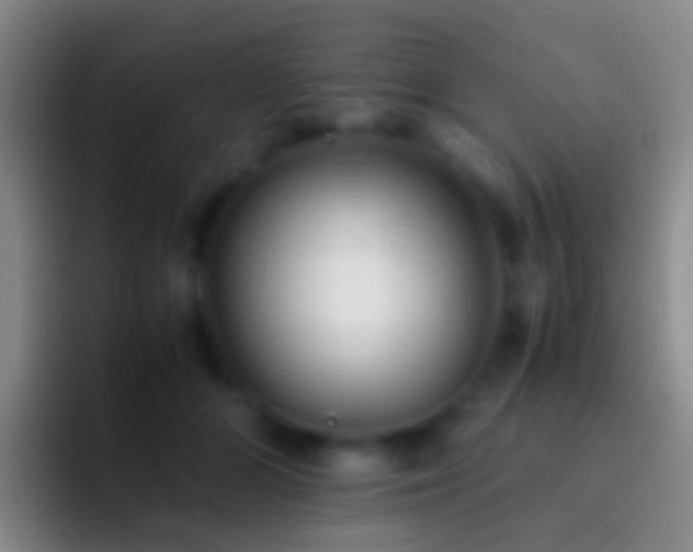 X0000092310510200709211251