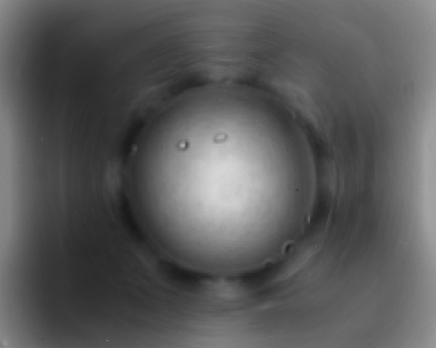 X0000092310511200709211251