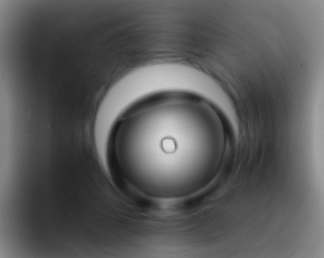 X0000092310512200709211251