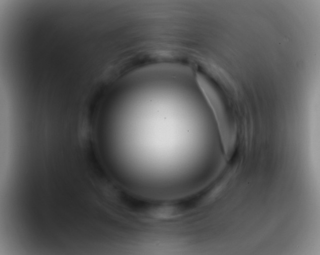 X0000092310513200709211251