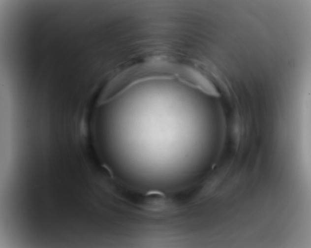X0000092310516200709211251