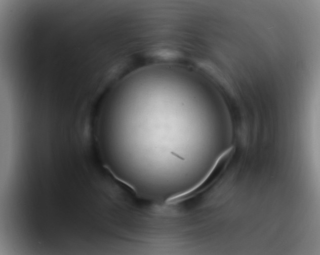 X0000092310520200709211251
