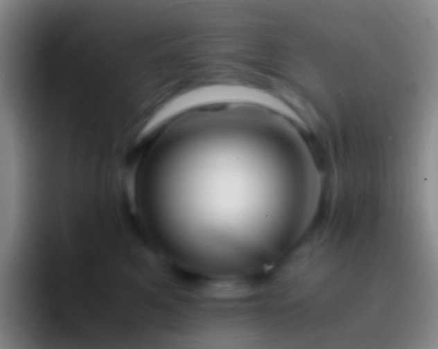 X0000092310521200709211251