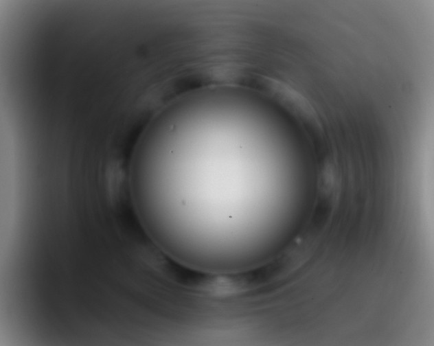 X0000092310522200709211251