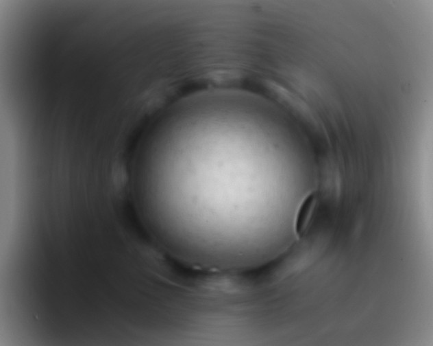 X0000092310523200709211251