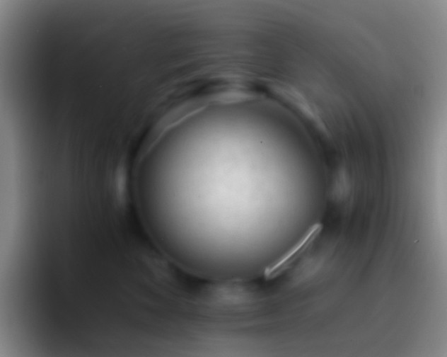 X0000092310524200709211251