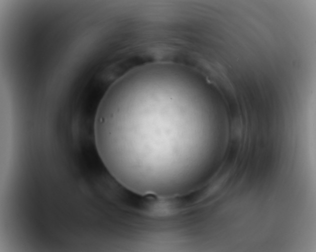X0000092310527200709211251