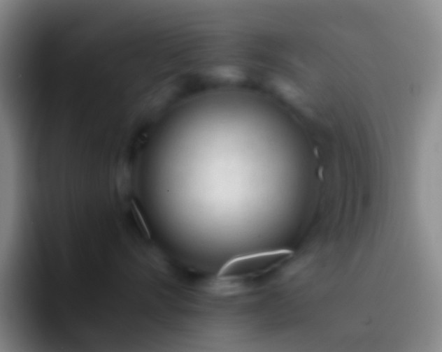 X0000092310528200709211251