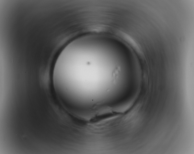 X0000092310532200709211251