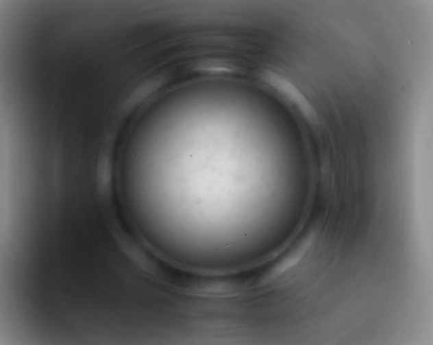X0000092310533200709211251