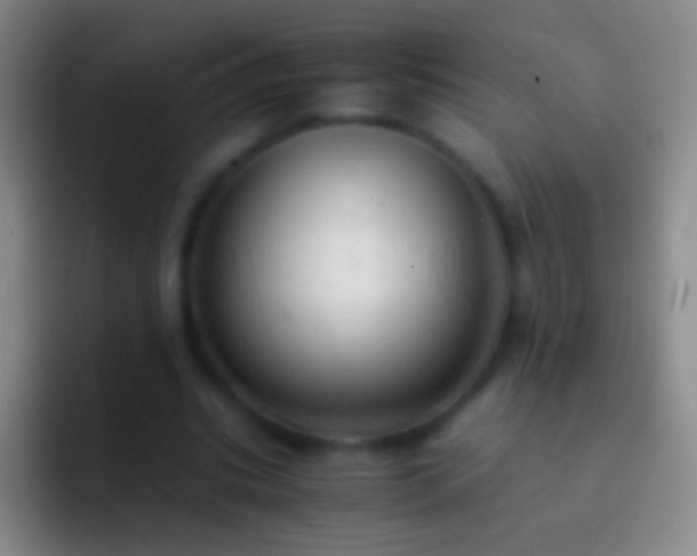 X0000092310535200709211251