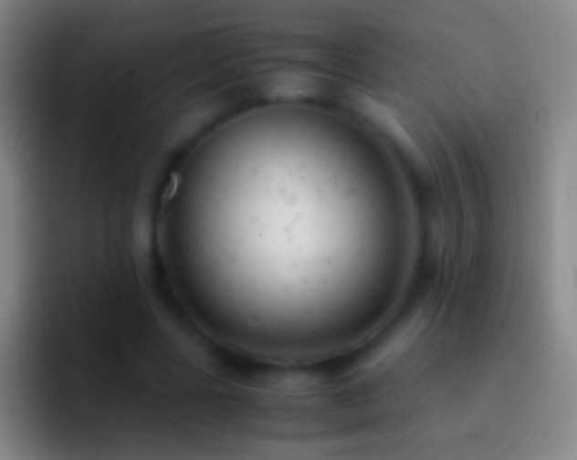 X0000092310539200709211251