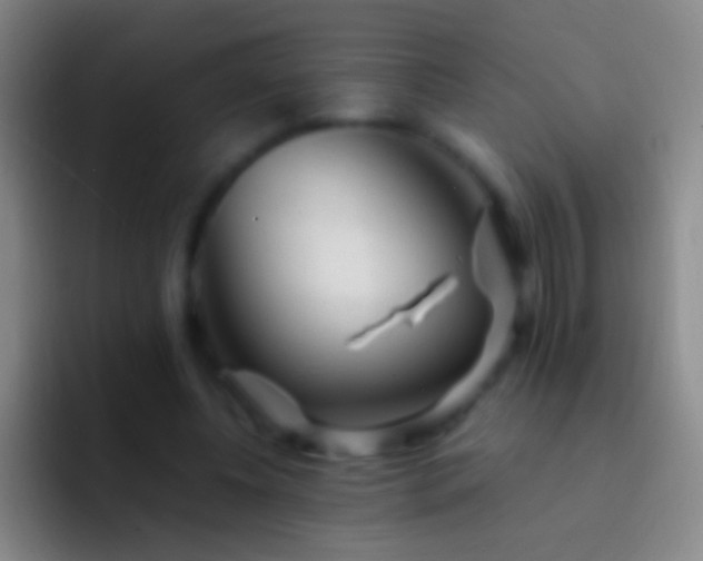 X0000092310540200709211251
